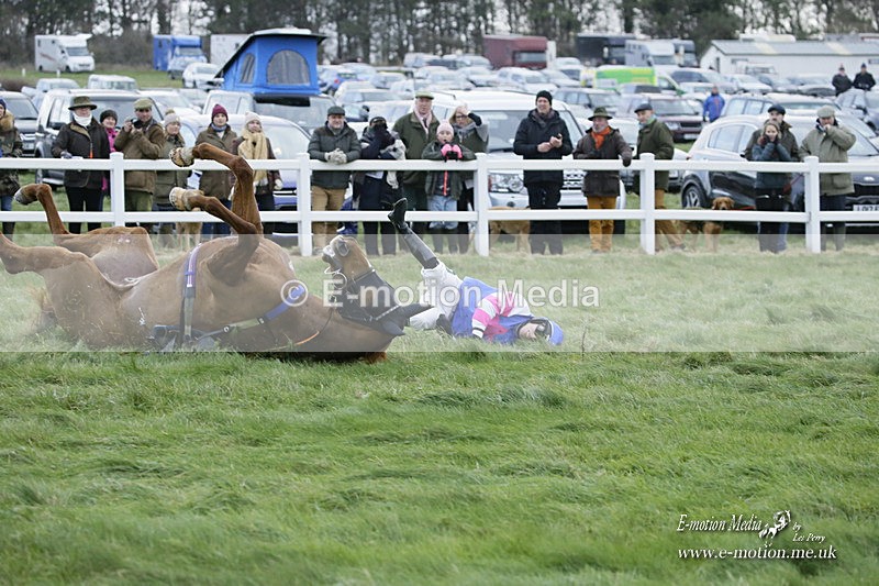 PtP 281121 0586 - Hursley Hambledon Point-to-Point Larkhill 28/11/21