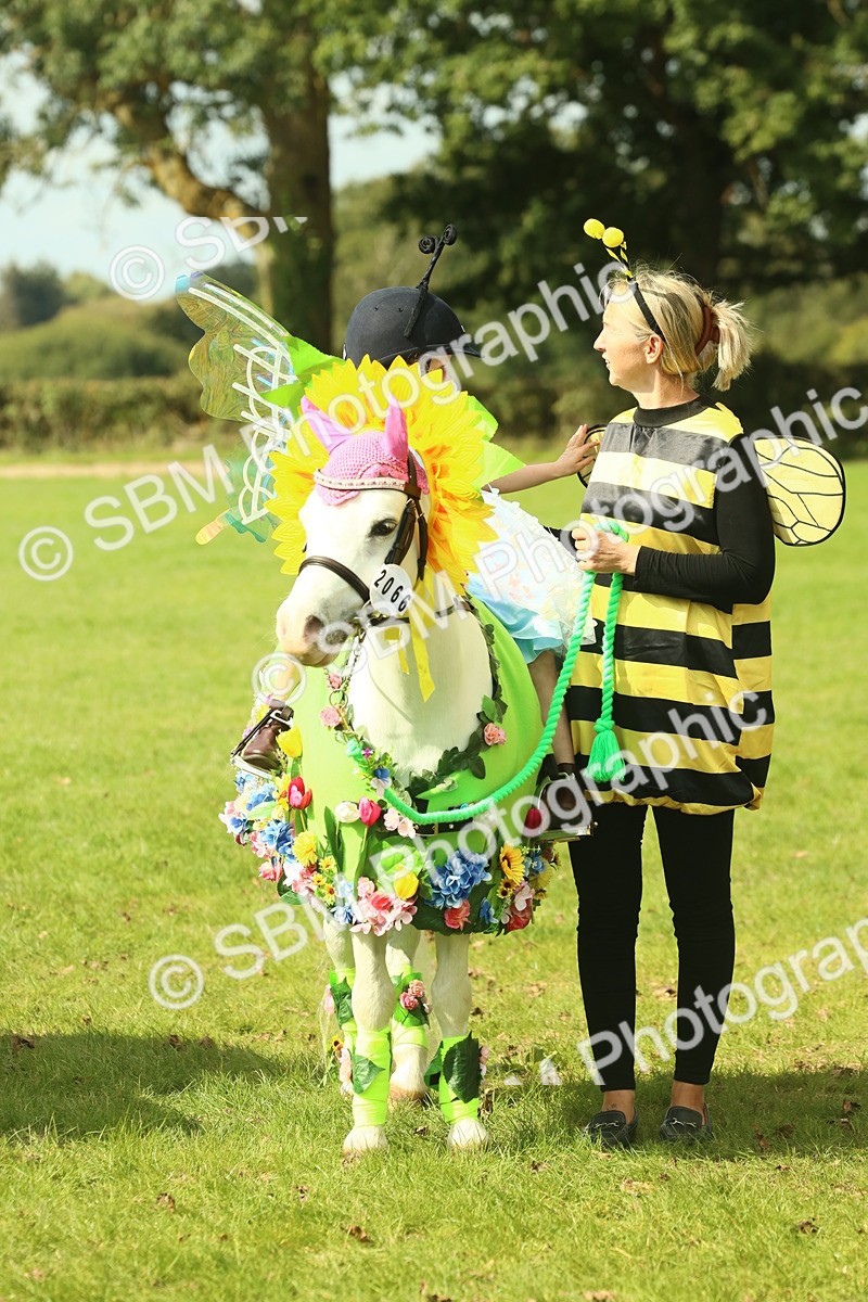 SBM_63650 - S35 - Fancy Dress Showing