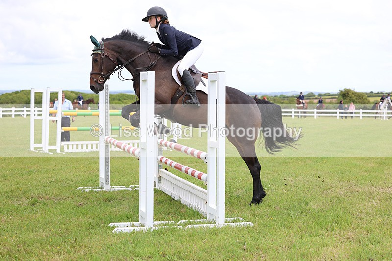 3E7A7207 - Class 13: Senior British Novice/90cm open
