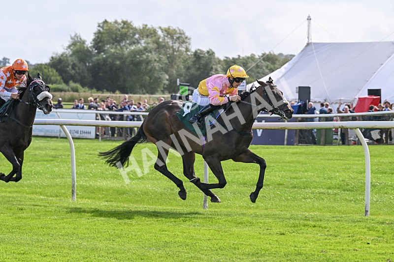 080926-Race 3-Battenburg Belle-2292 - Race 3 3.03pm Fifth Regiment Royal Artillery Handicap (Div I)