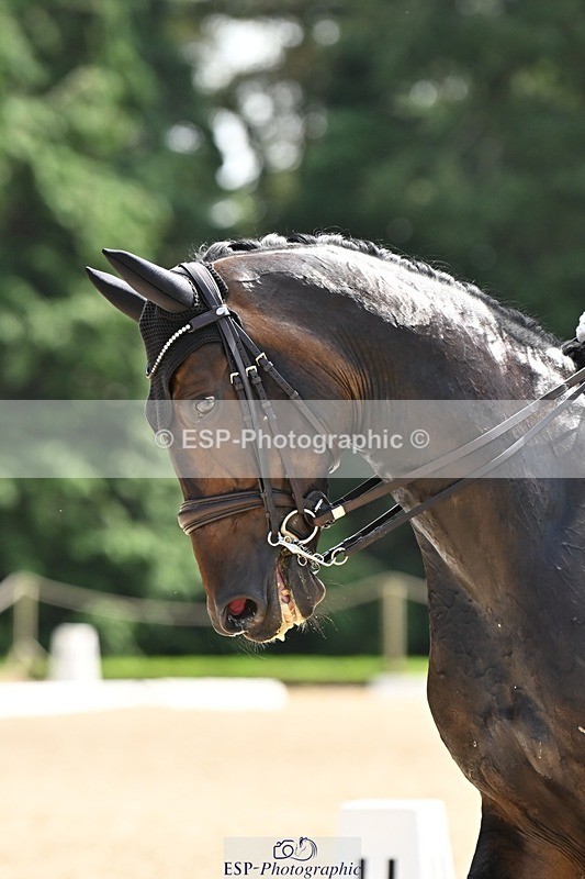 240811-142133-06341 - 165-Emily.Ormerod-FLS.Samphire