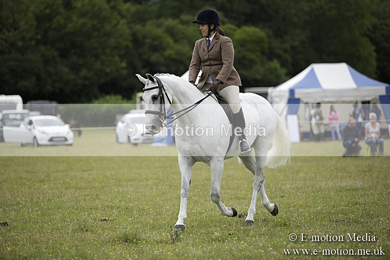 BVR160717-837 - Ring 1 BVRC Show 16/07/17