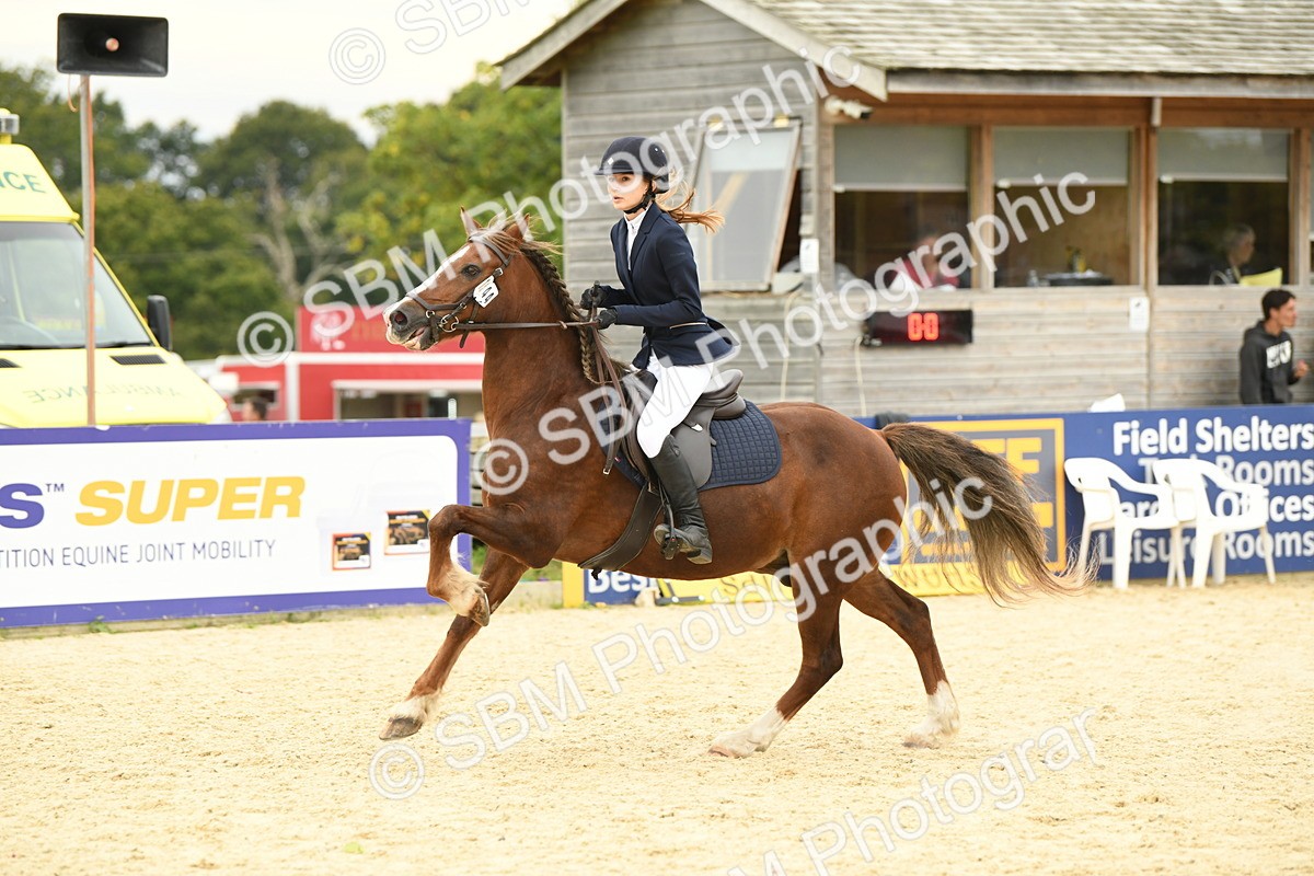 SBM_73027 - J16 - Junior Pony 75cm Championship