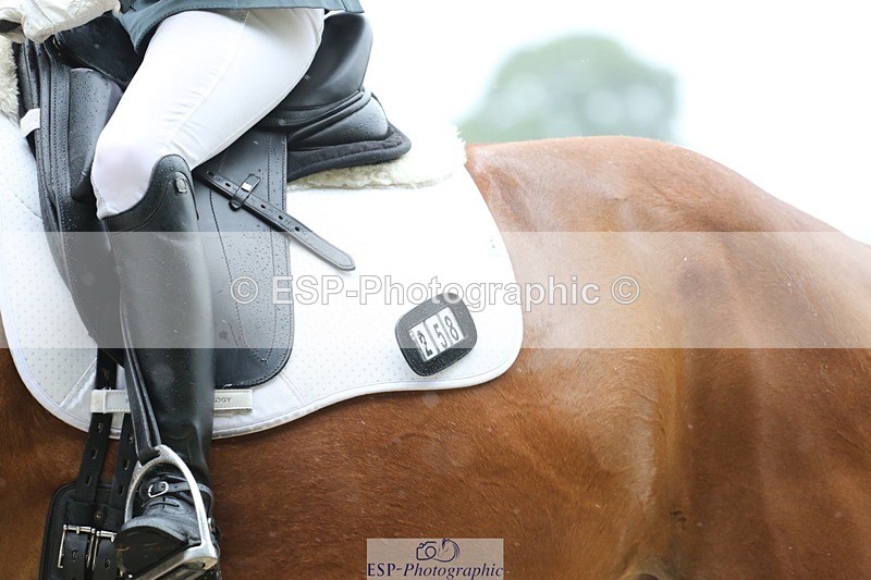 240720-114410-04567 - 258-Jo_Retallack-Delgardo_Z