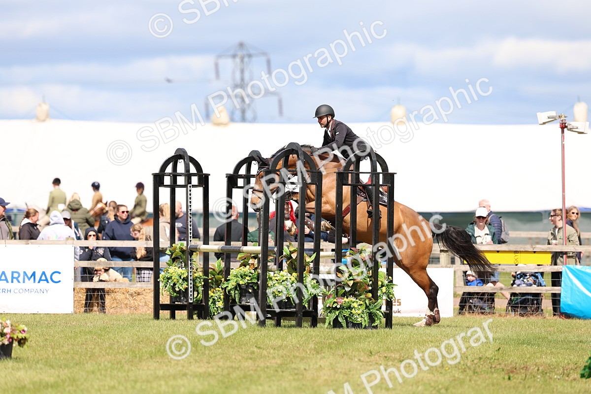 SBM_13619 - Class 206 - Senior Newcomers - 1.10m Open