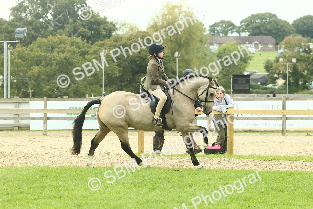 SBM_74014 - S 61 - Show Pony & Show Hunter Pony Ridden