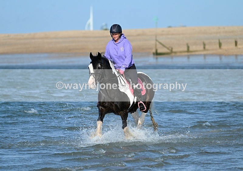 WJ7_2921 - Kellie & Churchill ... do Hayling Island 25-08-24