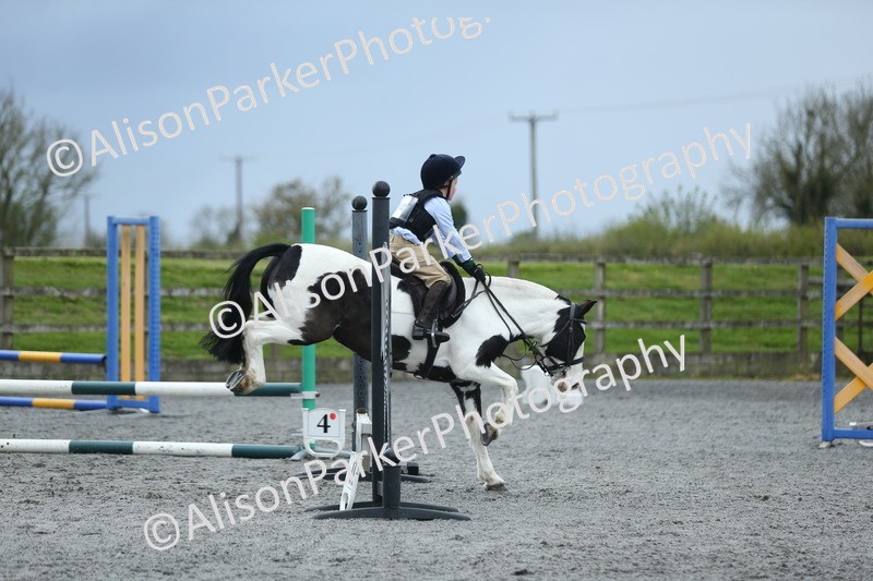 20260412-1845 - Show Jumping