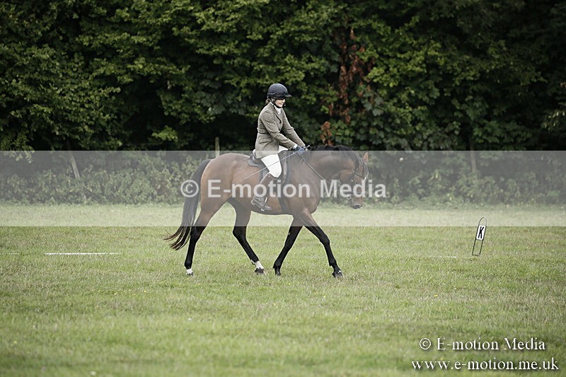 BVR090918 41 - BVRC Dressage and Show Jumping 09/09/18