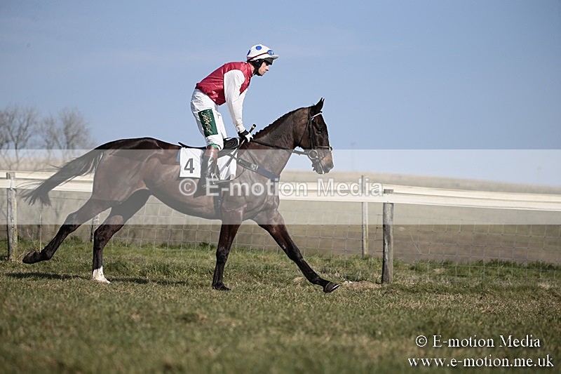 PtP 240218 208 - Vine & Craven Hunt Point-to-Point Barbury racecourse 24/02/18