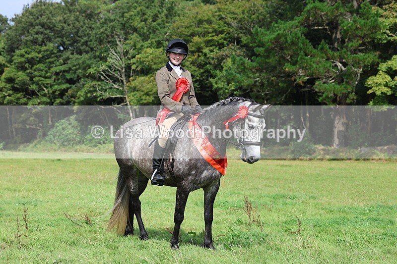 3E7A6163 - Working Hunter Championship