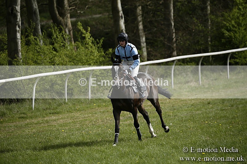 PtP 170417 232 - Old Berks Point-to-Point Lockinge 17/04/17