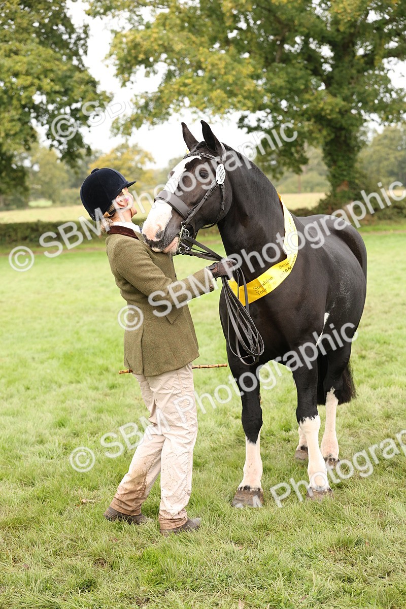 SBM_57531 - S56 - Show Cob in Hand