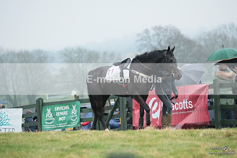 PtP 100324 464 - Pytchley with Woodland Point-to-Point Guilsborough 10/03/24