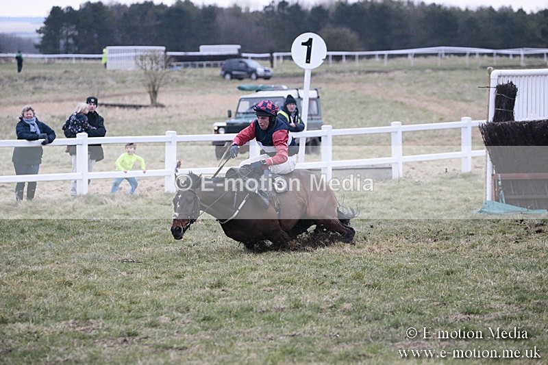 PtP 180218 906 - Combined Services Point-to-Point Larkhill 18/02/18