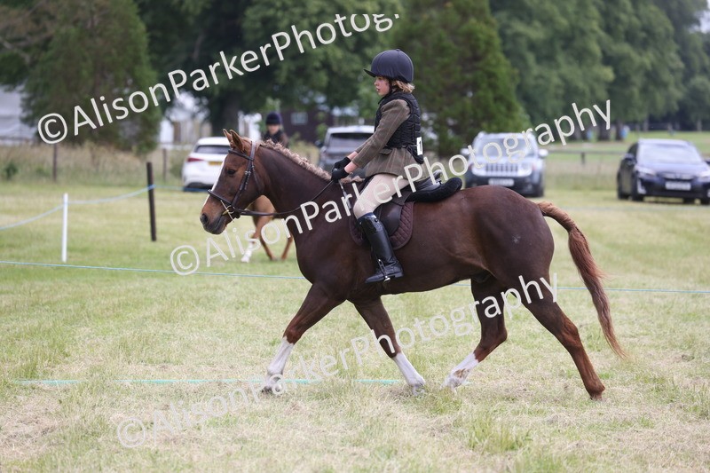 20260614-2751 - Class 22 - Open Working Hunter