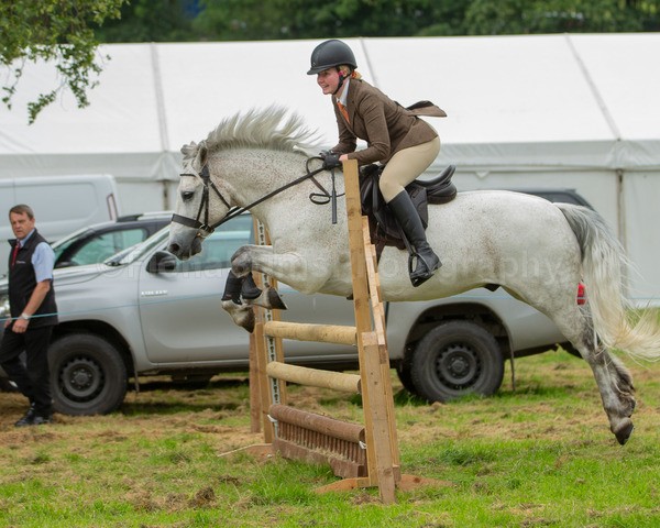 Dunblane show-578 - Dunblane and Doune Show Ring 1