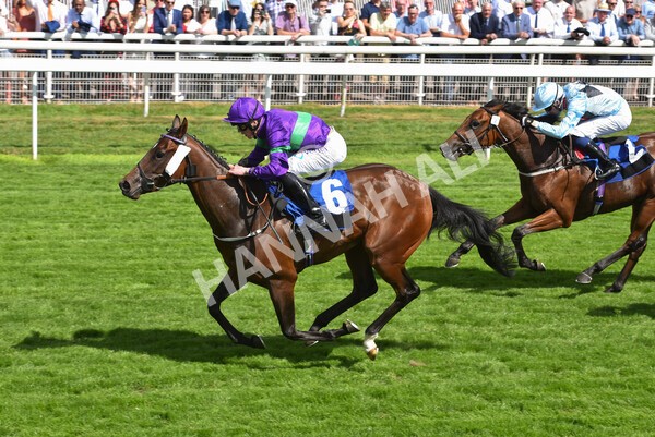 yr09072022r4-37 - Race 4 3.30pm John Smith's Nursery Stakes