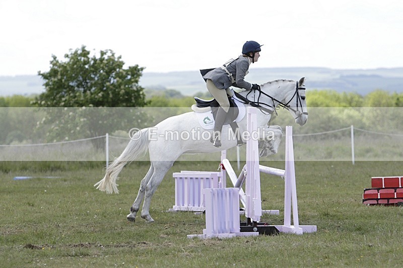 BVHT 140517 N-309 - Class 2 SJ Novice 14/05/17