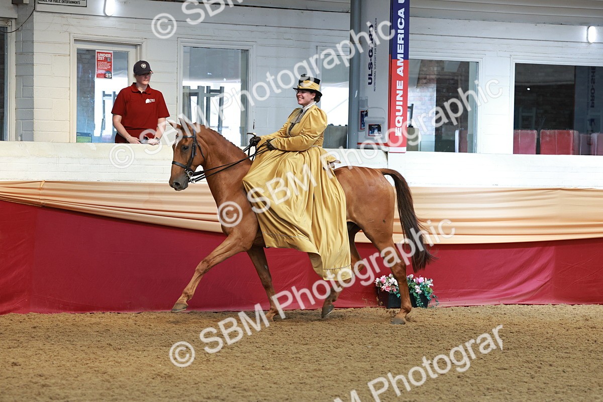 SBM_13557 - Class 105 - Ridden Costume - Side Saddle