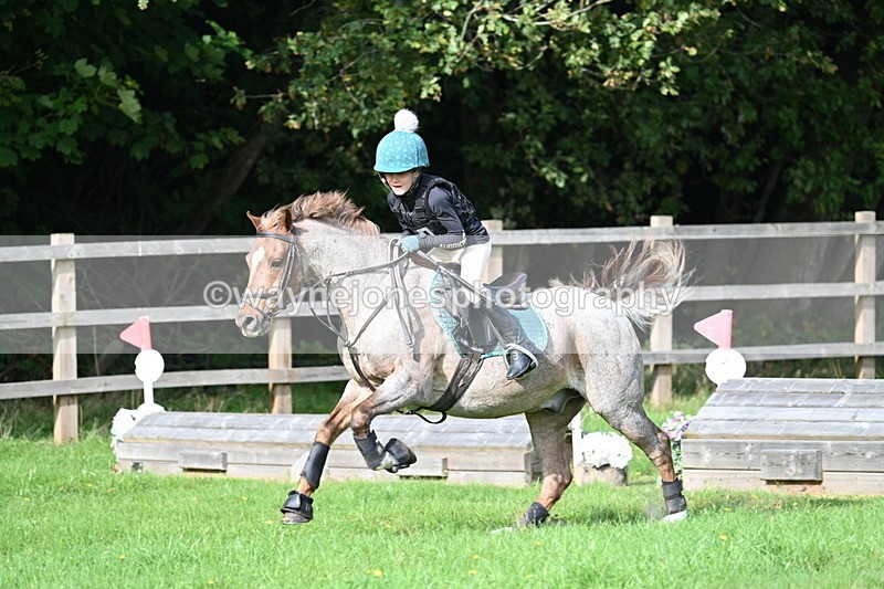 WJ7_5035 - 60cm Time 11:11 to 11:19