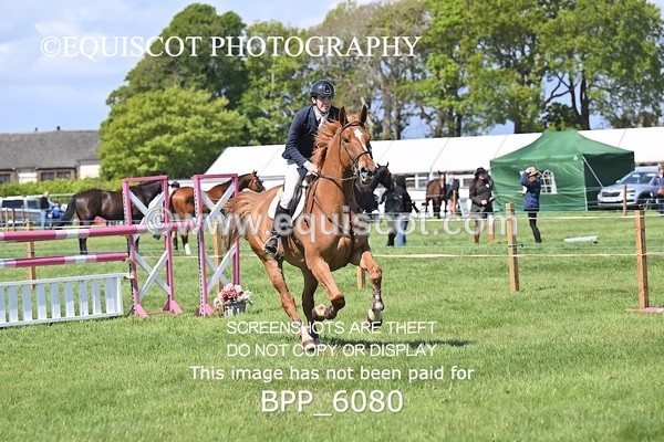 BPP_6080 - CLASS 3 ANDREW HAMILTON RHS FOX CHAMP QUAL