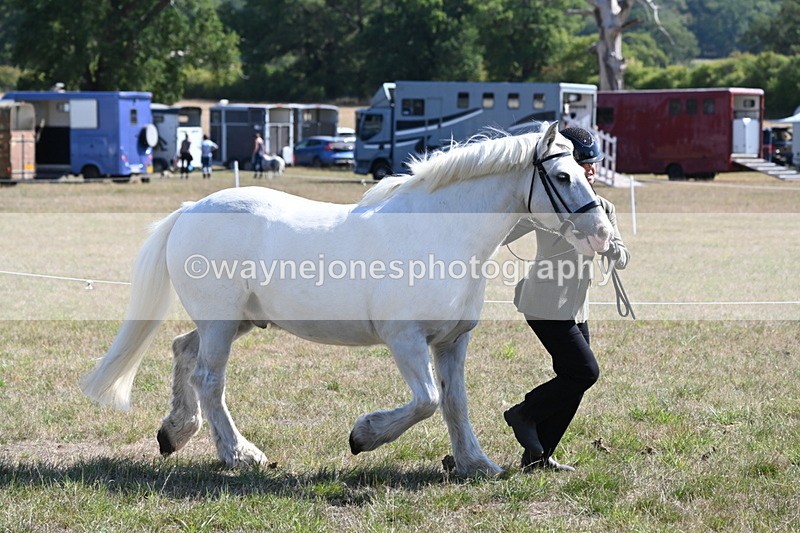 WJ6_4543 - Class 17 Mountain & Moorland