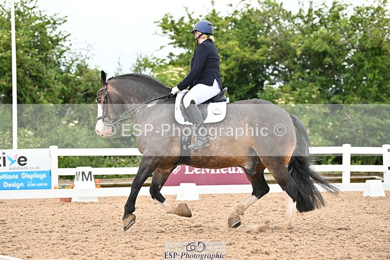 240623A-151758-19550 - Cls 51 BD Elementary 53