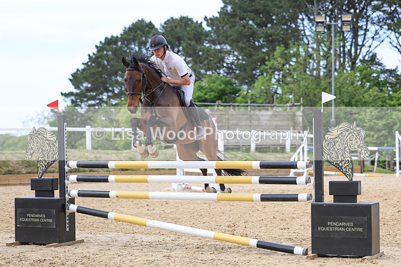 3E7A7447 - Class 8: Senior Foxhunter/1.20 open