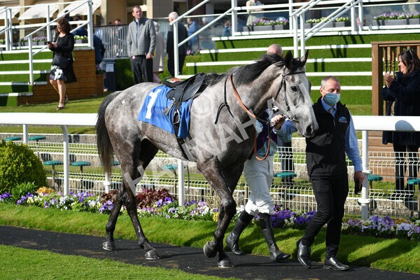 yr22052021r7-56 - Race 7 5.25pm Hudson Quarter York Palace Capital Stakes - Gentleman Amateur Riders Race