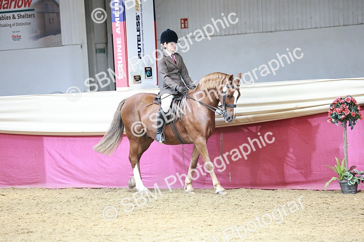 SBM_06970 - Class 10R - Regional Ridden Diamond
