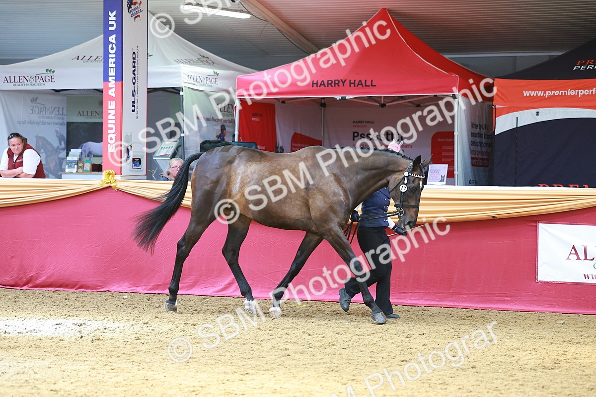 SBM_04179 - Class 9R - IH Pre-Vet
