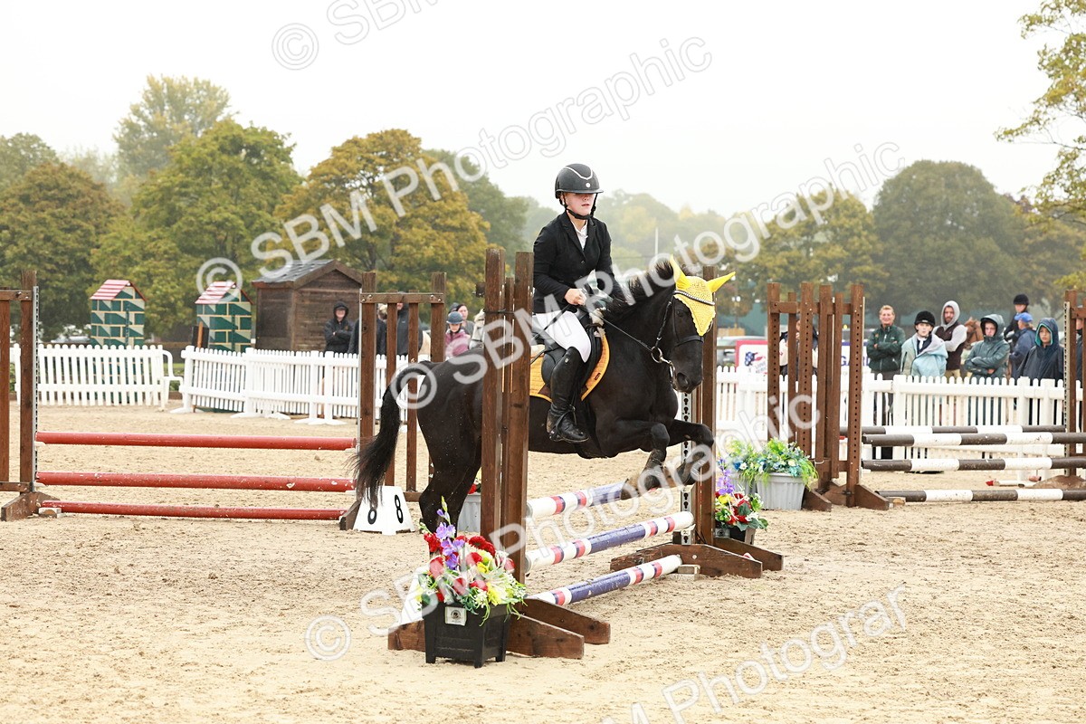 SBM_73320 - Supreme Championship Junior Pony 60cm & 65cm