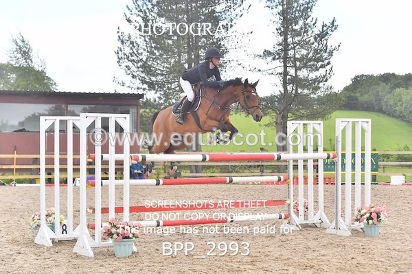 BPP_2993 - SUN CLASS 21 National 1.30m Open