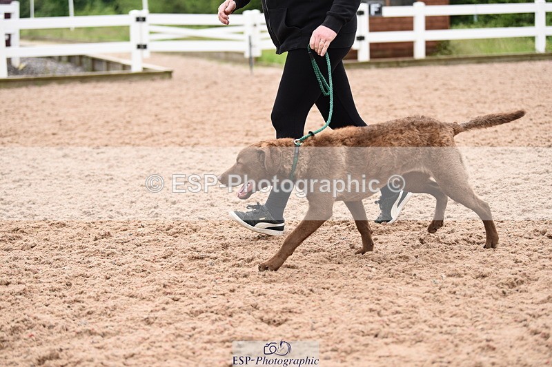 240518A-112206-00762 - Cls 1 Cutest Puppy