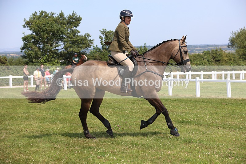 JPP_3258 - Class 22: Working Hunter 70cm