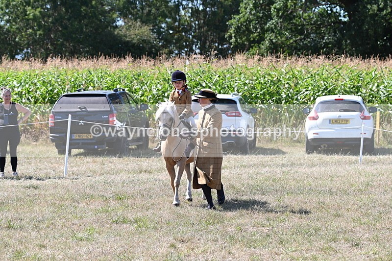 WJ6_8058 - Class 36 Lead Rein