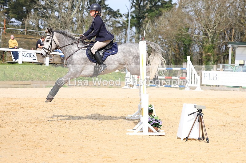 3E7A6816 - Class 4: Senior British Novice/90cm open