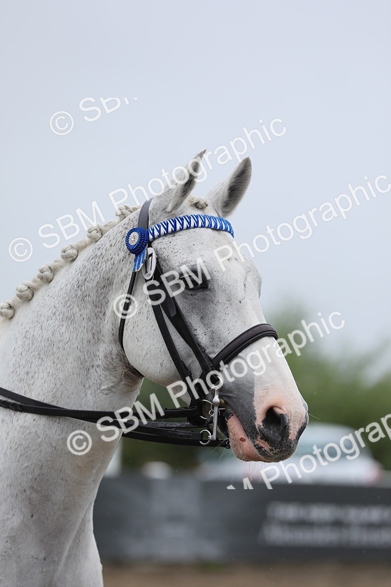SBM_20080 - Class 802 - Ridden Groom - Helpers class