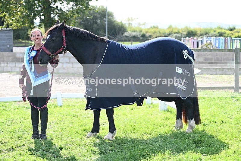 WJ7_1741 - 80cm Champs