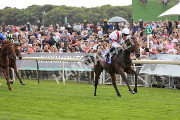 yr17082022r3-20 - Race 3 3.00pm Sky Bet Great Voltigeur Stakes