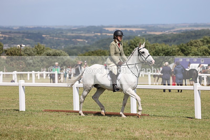 JPP_2250 - Class 19: Working Hunter 60cm