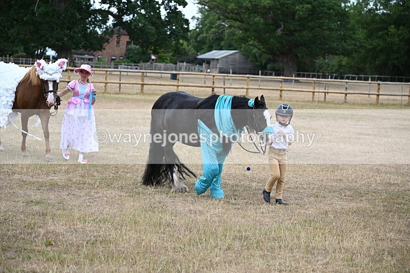 WJ6_8686 - Class 11 Fancy Dress