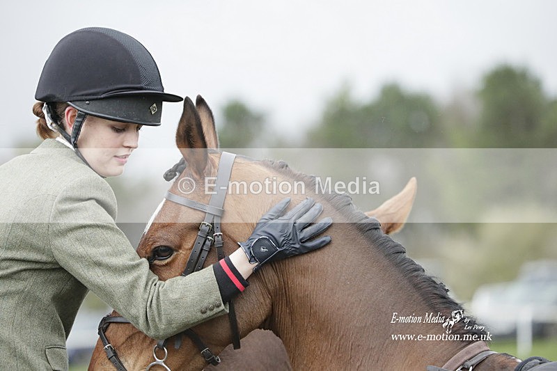 PtP 260323 0644 - New Forest Hounds Point-to-Point Larkhill 26/03/23