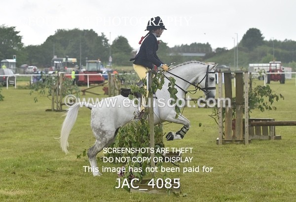 JAC_4085 - 40CM WORKING HUNTER