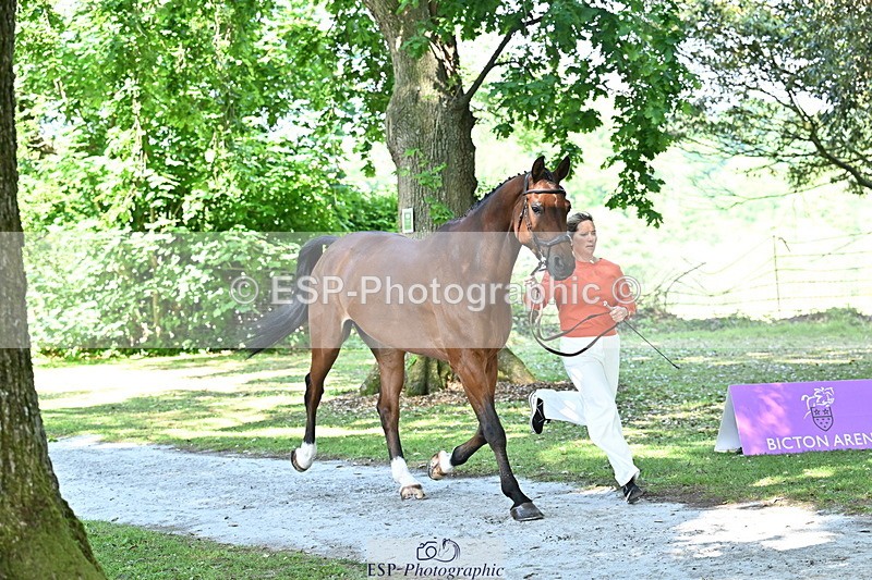 250521A-153610-00624 - B-369-Ali.Wilkes-ROCK.THE.CASPAR