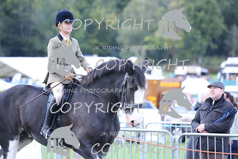 APP_3623 - Class 8 Ridden Class