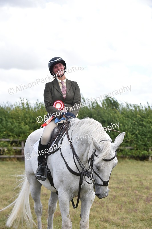 20250831-4135 - Class 13 - Working Hunter Horse or Pony