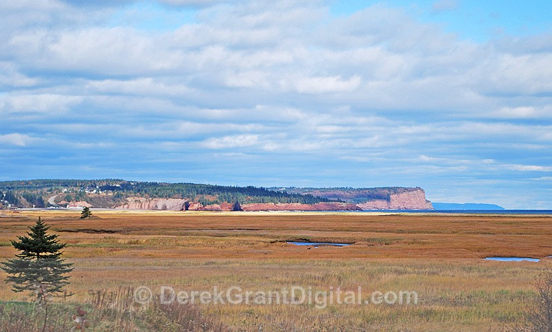 Tidal Salt Marsh St. Martins New Brunswick - New Brunswick Landscape