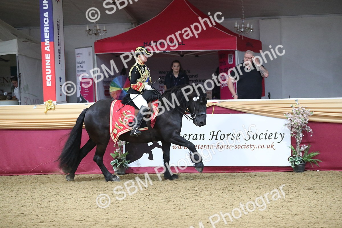 SBM_12019 - Class 106 Ridden Costume- Astride Adult (15-19)